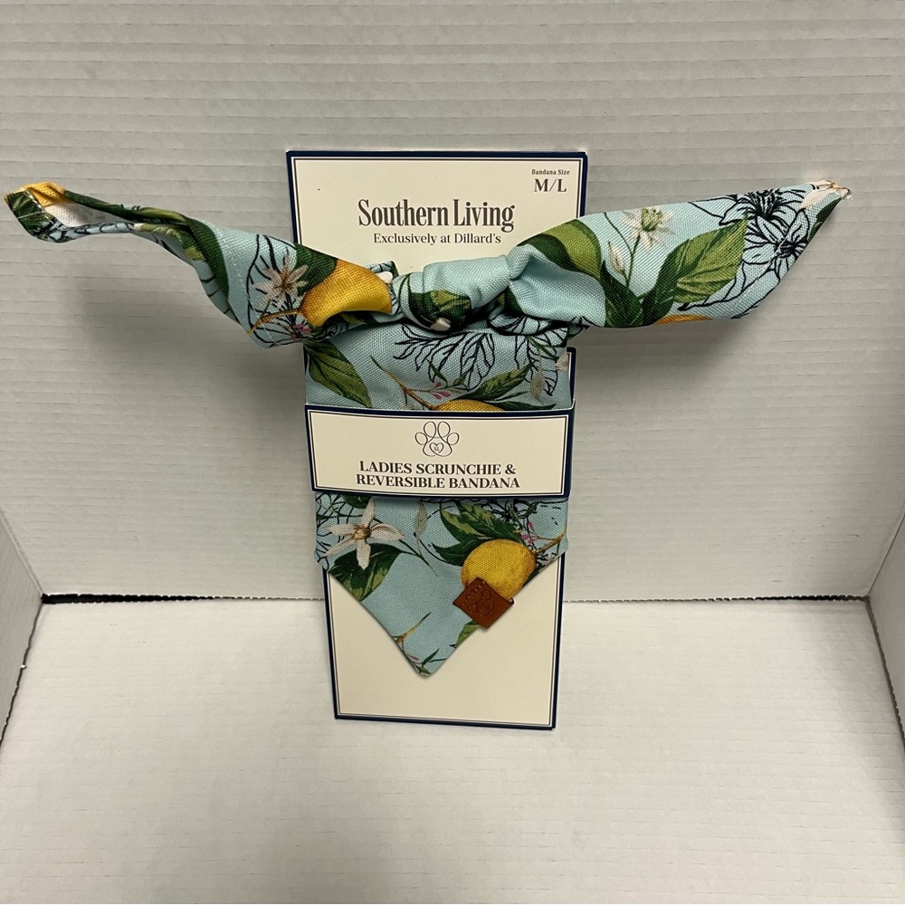 Southern Living Women Scrunchie & Pet Reversible Bandana Matching Set Sz M/L NWT